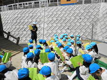 DSC00350.JPGのサムネール画像