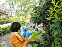 DSC00360.JPG