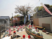 DSC00375.JPG