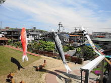 DSC00584.JPG