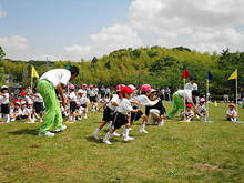 DSC00847.JPG