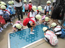 DSC01087.JPG