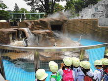DSC01089.JPG