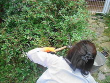 DSC02339.JPG