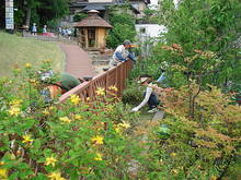 DSC02340.JPG