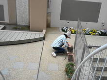 DSC02343.JPG