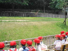 DSC02374.JPG