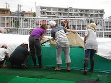 DSC02382.JPG