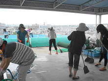 DSC02388.JPG