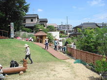 DSC02601.JPG