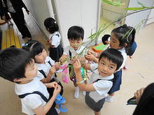 DSC01457.JPG