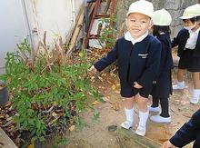 DSC02614.JPG