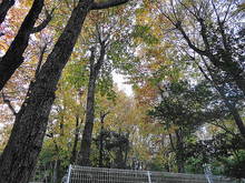 DSC02633.JPG
