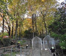 DSC02634.JPG