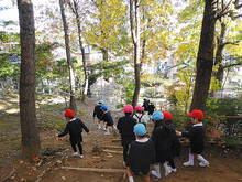 DSC02637.JPG