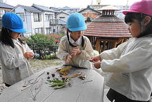 DSC02650.JPG