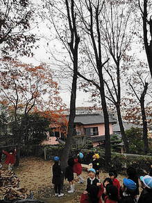 DSC02937.JPG