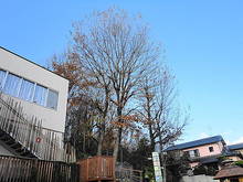 DSC02974.JPG