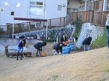 DSC02982.JPG