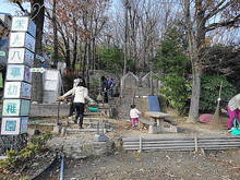 DSC02983.JPG