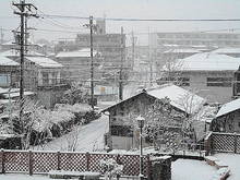 DSC03550.JPG