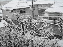 DSC03552.JPG