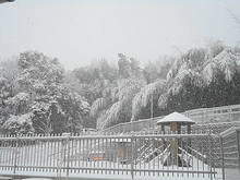 DSC03569.JPG