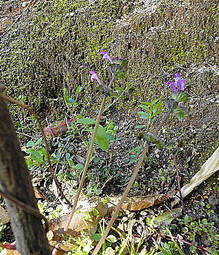 DSC03691.JPG