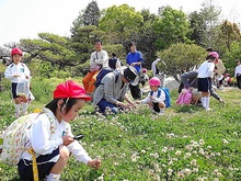 DSC00855.JPG