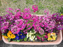 DSC03806.JPG