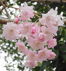 DSC03811.JPG