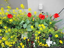 DSC03818.JPG