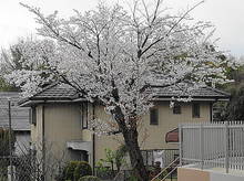 DSC03829.JPG