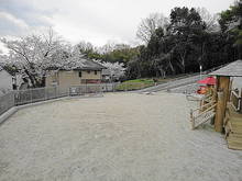 DSC03831.JPG