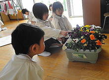 DSC03953.JPG