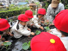 DSC04065.JPG
