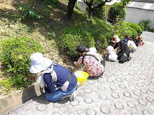 DSC00911.JPG