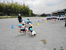 DSC04239.JPG