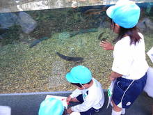 DSC00973.JPG