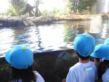DSC00980.JPG