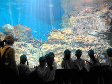 DSC01023.JPG