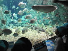 DSC01130(1).JPG