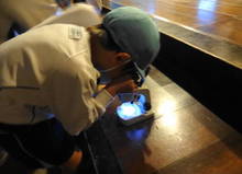 DSC01156.JPG