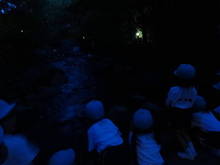DSC01174.JPG