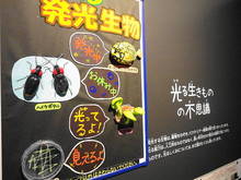 DSC04556.JPG