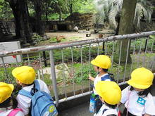 DSC04638.JPG
