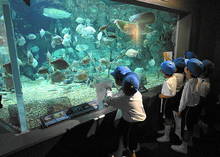 DSC04700.JPG