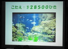DSC04719.JPG