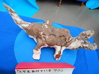 DSC07793.JPG