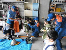 DSC08003(1).JPG